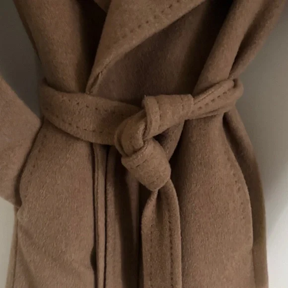 Aritzia Babaton Camel Wool Coat - Picture 4 of 16